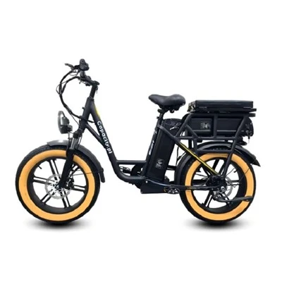 E adiuva Mountain Bike