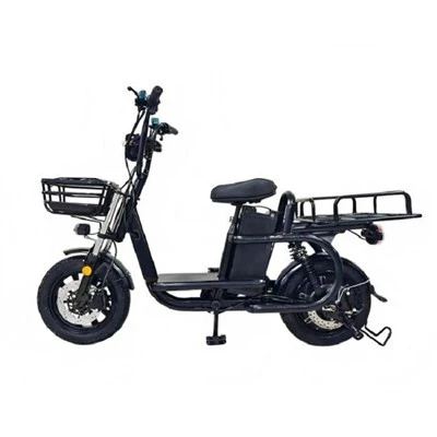 Electric Cargo Bikes pro Familiae