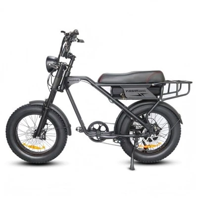 Electric Mountain Bike Long Range